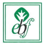 EBF